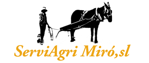 logo serviagri miro